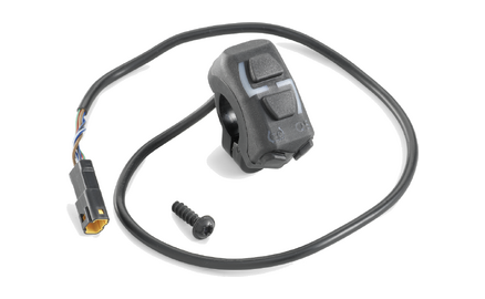 Combination switch