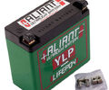 Aliant Ultralight Battery YLP30