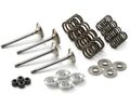 Valve Kit 450