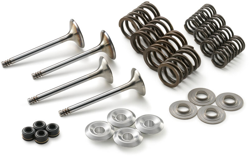 Valve Kit 450