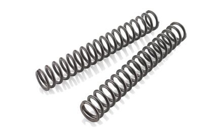 Fork spring set