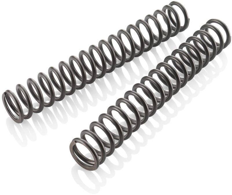 Fork spring set