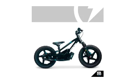16eDRIVE ELITE 36V