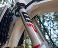 TE 300 PRO 2027