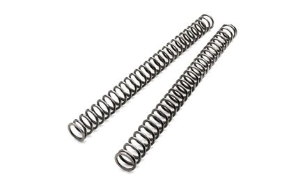 Factory fork spring set
