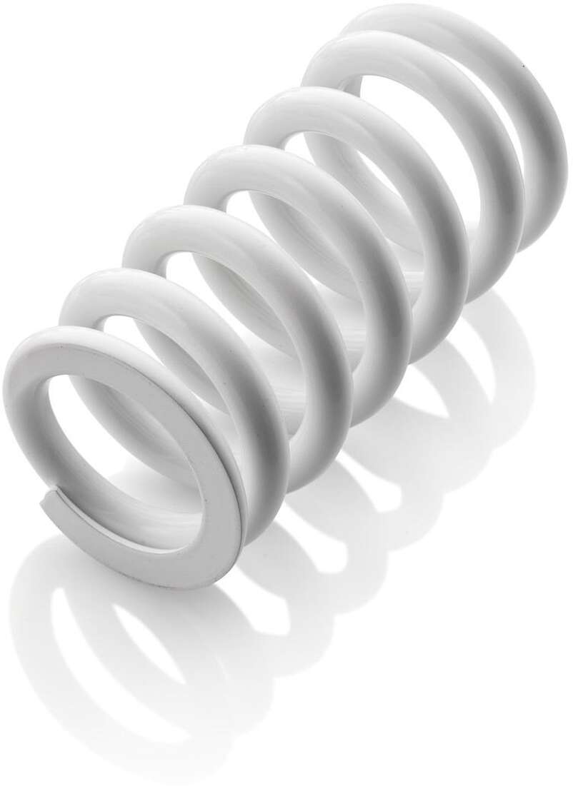 Shock absorber spring