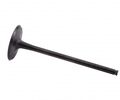 Kawasaki Intake Valve