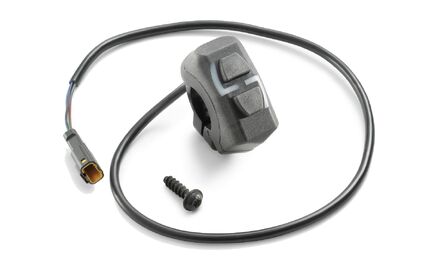 Combination switch