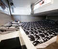 DEMO! Grandezza 30 Outboard + Mercury V250XL ES & V250CXL AM ES